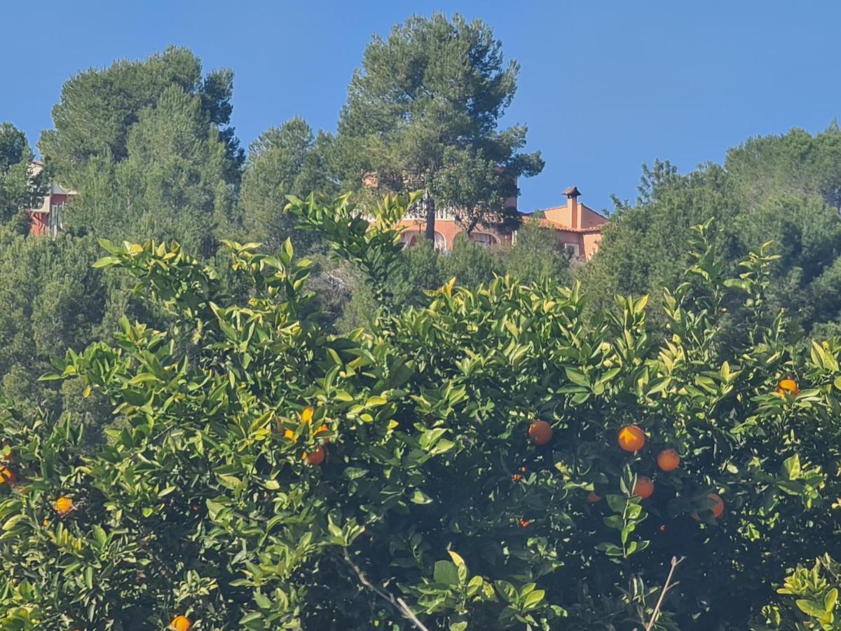 הוילה Montroy Chateau Angelique מראה חיצוני תמונה